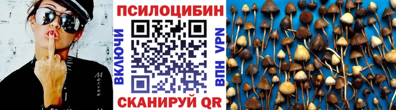 Купить Воскресенск Псилоцибиновые грибы MAGIC MUSHROOMS